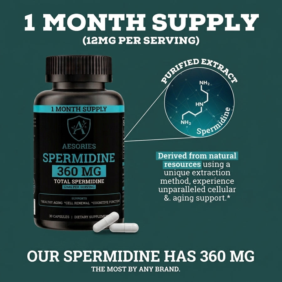 Spermidine levels decline with age